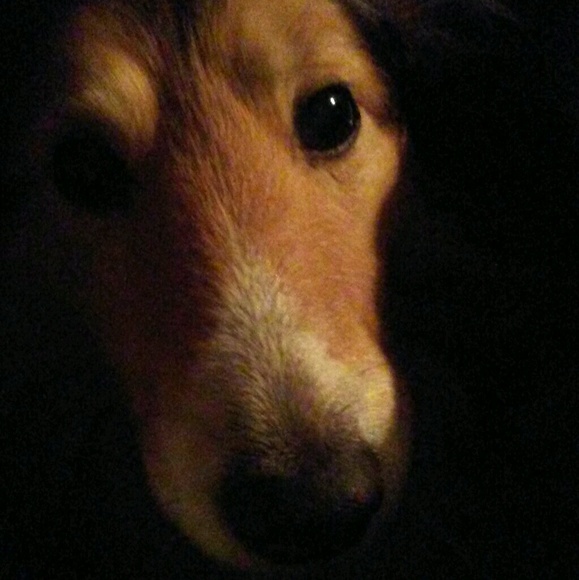 Meet your Posher, Norma - Picture 1 of 2